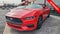 2024 Ford Mustang EcoBoost Premium Fastback