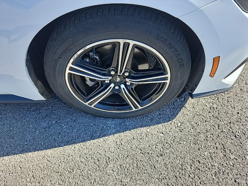 2024 Ford Mustang EcoBoost Premium Fastback