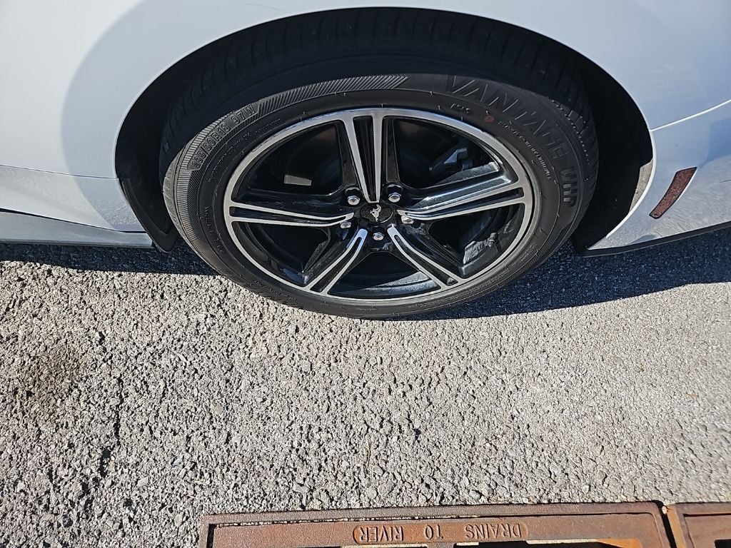 2024 Ford Mustang EcoBoost Premium Fastback