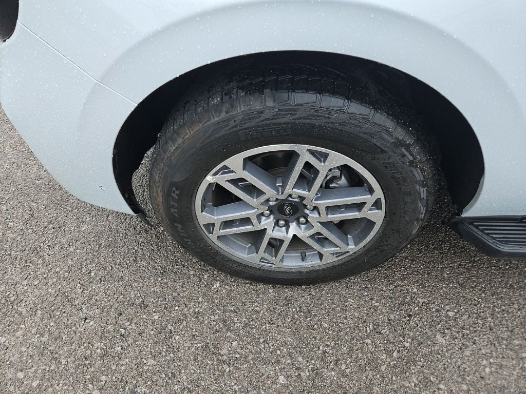 2025 Ford Expedition Active MAX