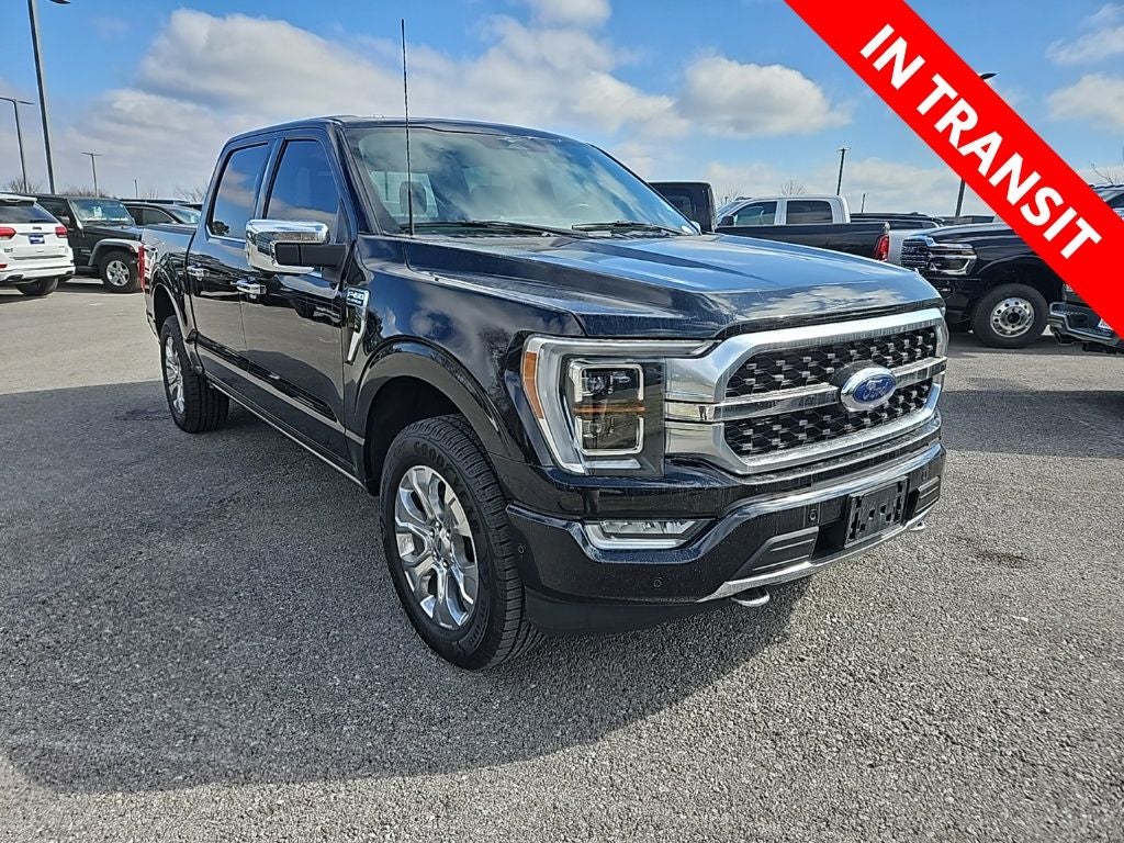 2023 Ford F-150 Platinum