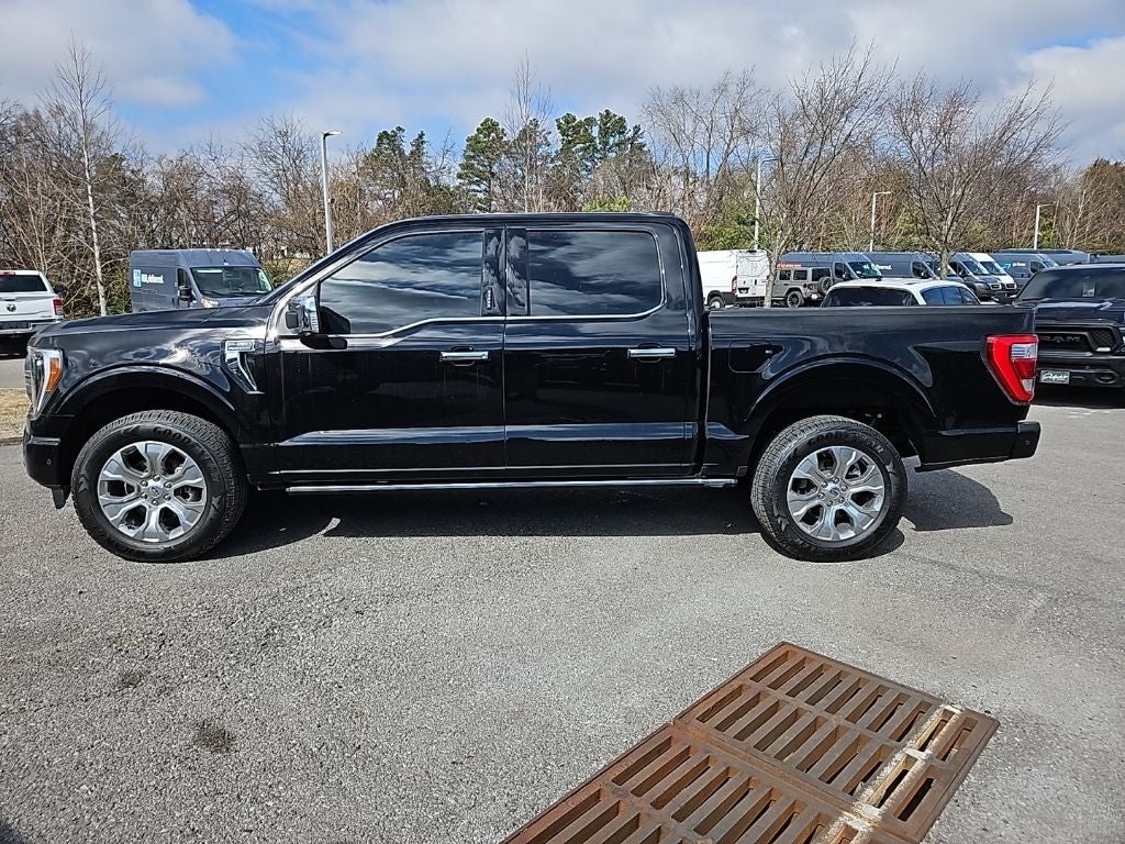 2023 Ford F-150 Platinum