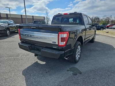 2023 Ford F-150 Platinum