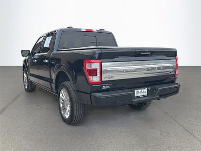 2023 Ford F-150 Limited