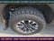 2023 Nissan TITAN Crew Cab PRO-4X 4x4