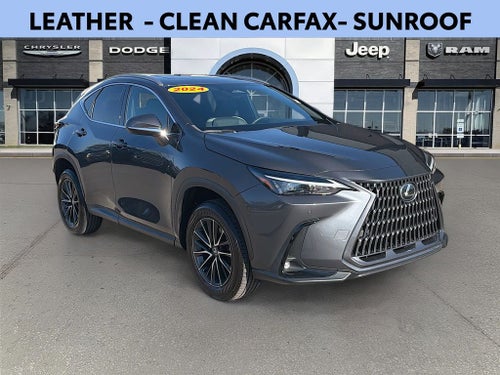 2024 Lexus NX 250 Premium
