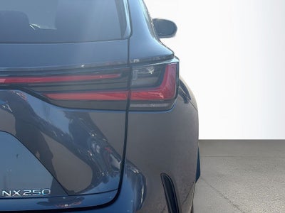 2024 Lexus NX 250 Premium