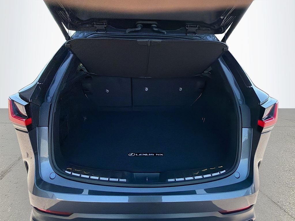 2024 Lexus NX 250 Premium