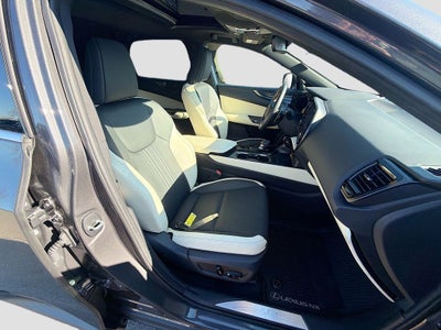 2024 Lexus NX 250 Premium