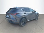 2024 Lexus NX 250 Premium