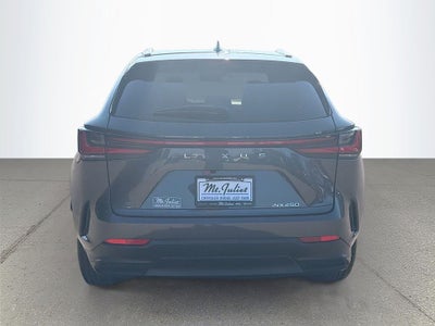 2024 Lexus NX 250 Premium