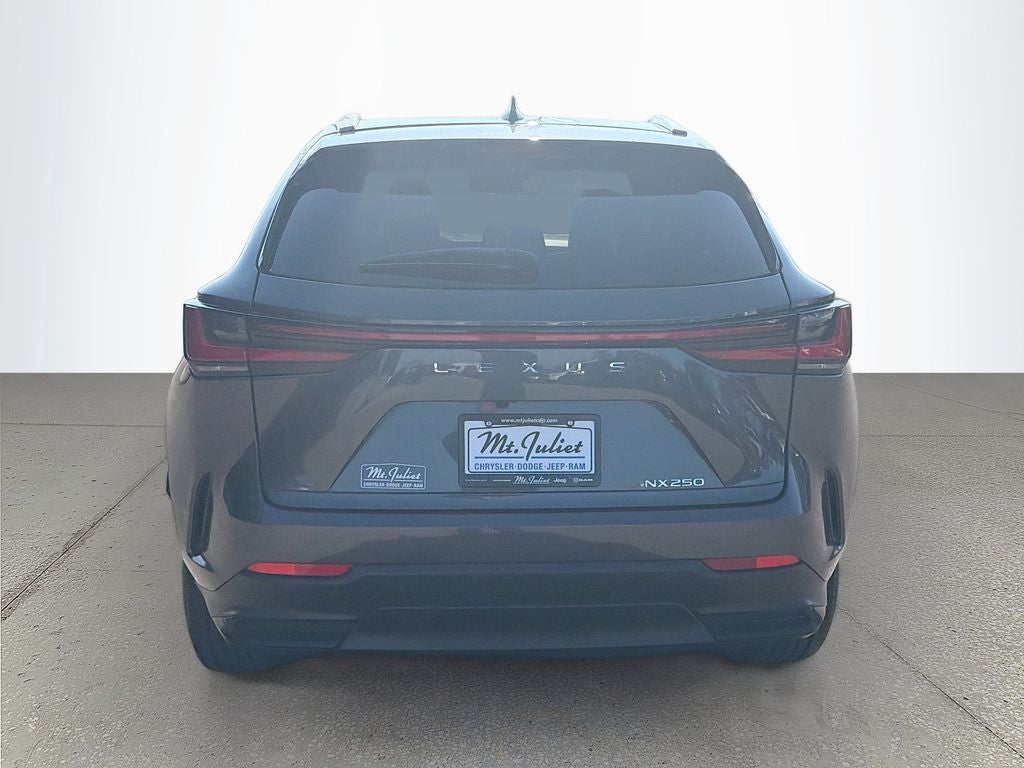 2024 Lexus NX 250 Premium