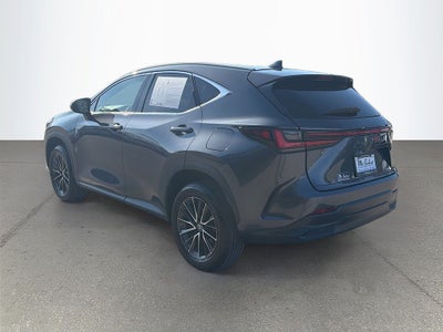 2024 Lexus NX 250 Premium