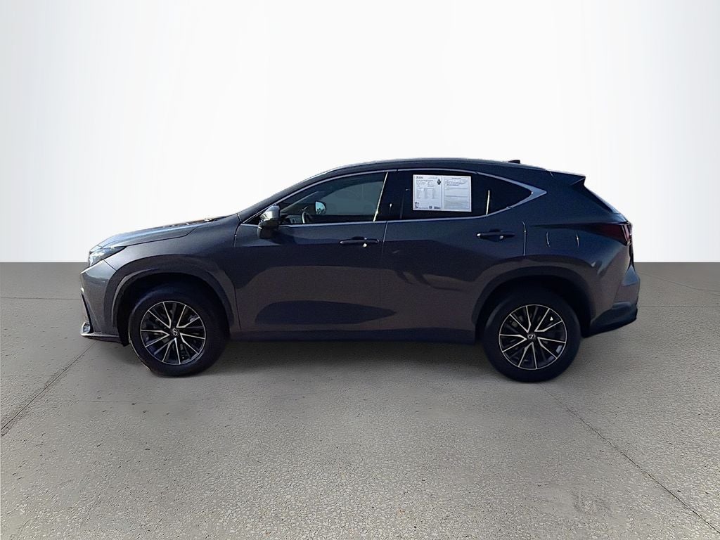 2024 Lexus NX 250 Premium