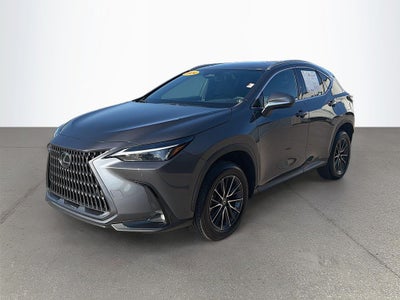 2024 Lexus NX 250 Premium