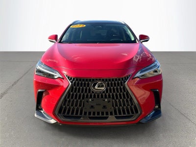 2024 Lexus NX 350 Luxury