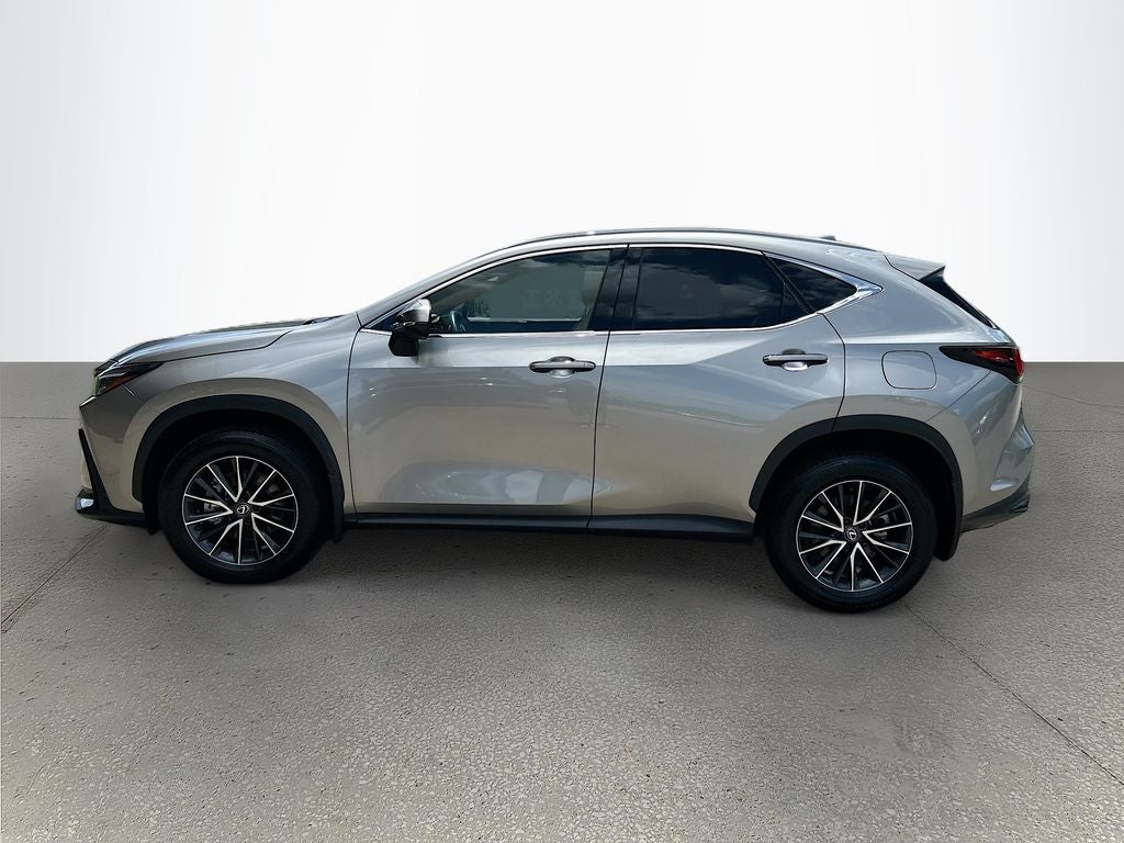 2024 Lexus NX 350 Luxury