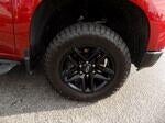 2024 Chevrolet Silverado 1500 4WD Crew Cab Short Bed LT Trail Boss