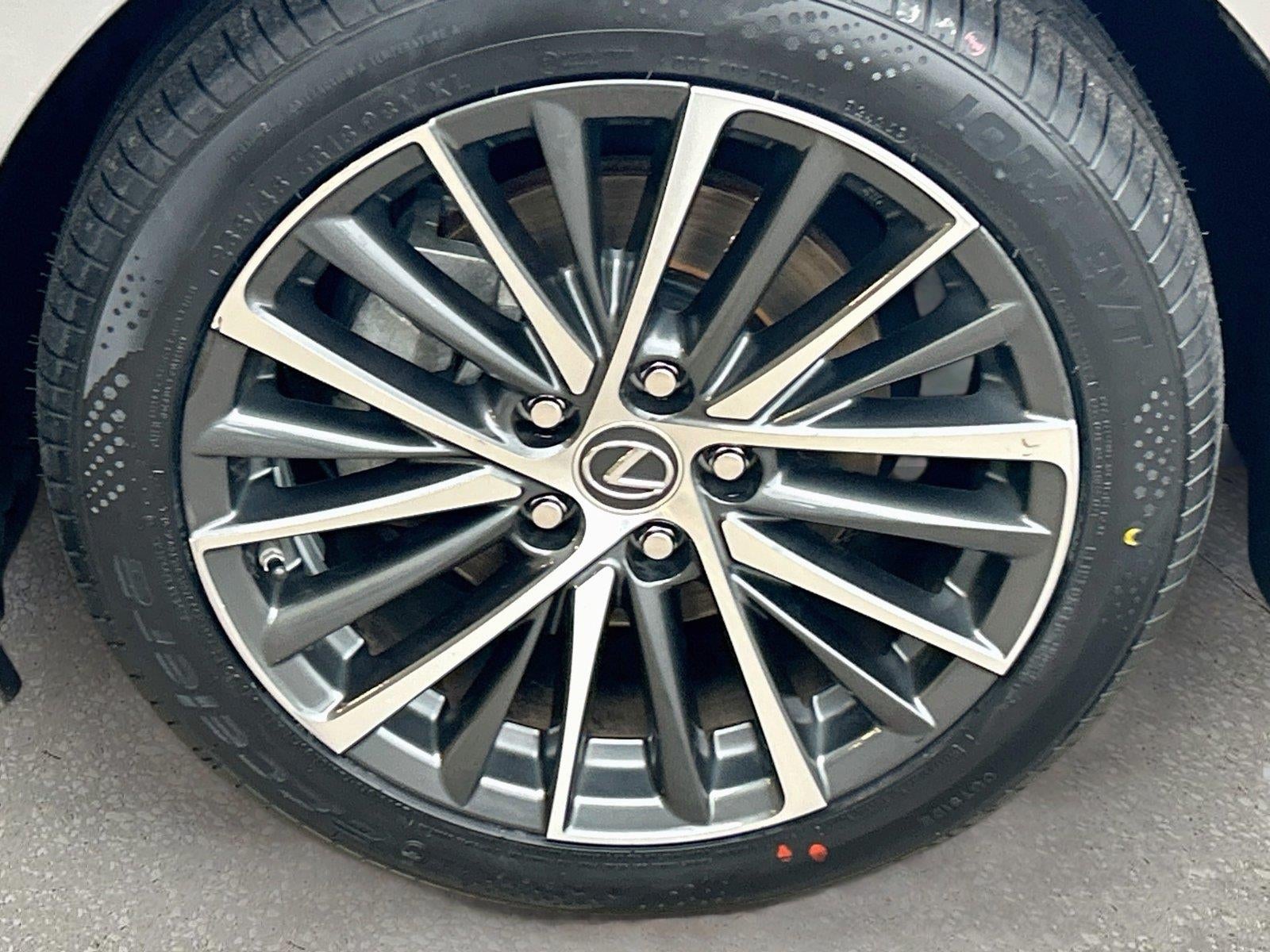 Photo 42