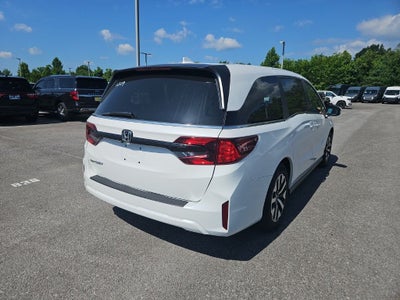 2025 Honda Odyssey EX-L
