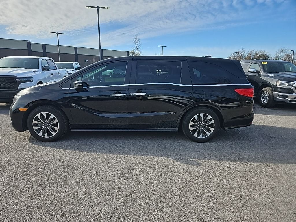 2024 Honda Odyssey EX-L