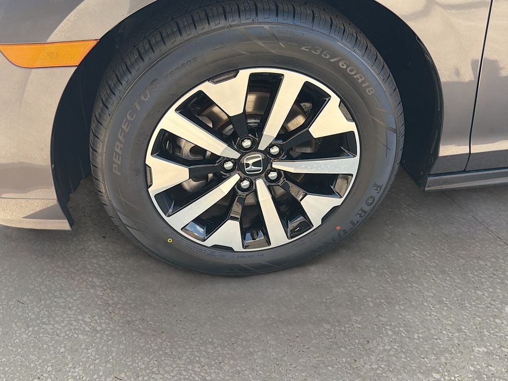 2025 Honda Odyssey EX-L