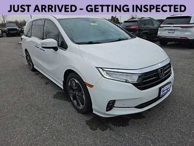 2024 Honda Odyssey Elite