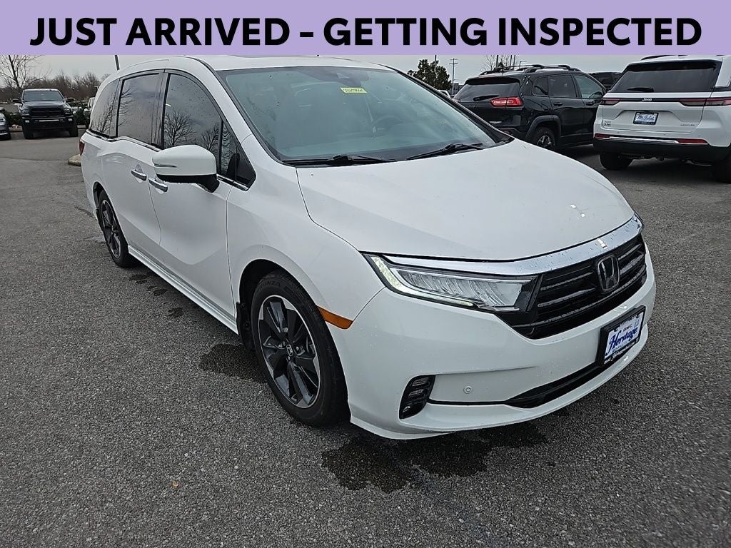 2024 Honda Odyssey Elite
