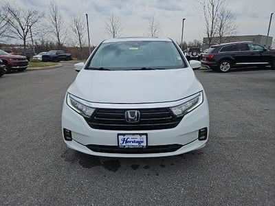 2024 Honda Odyssey Elite