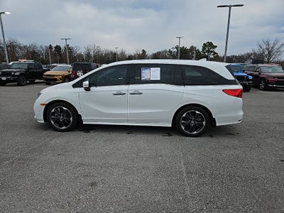 2024 Honda Odyssey Elite