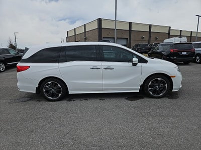 2024 Honda Odyssey Elite