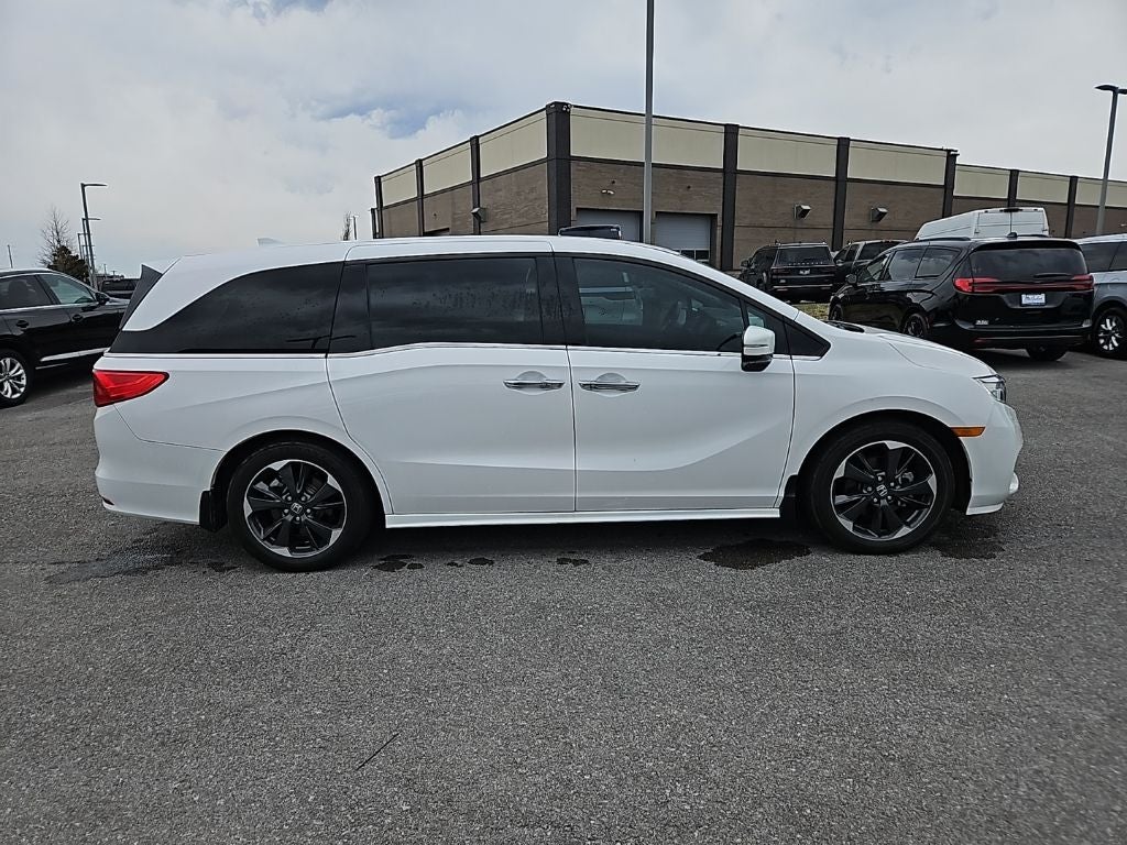 2024 Honda Odyssey Elite