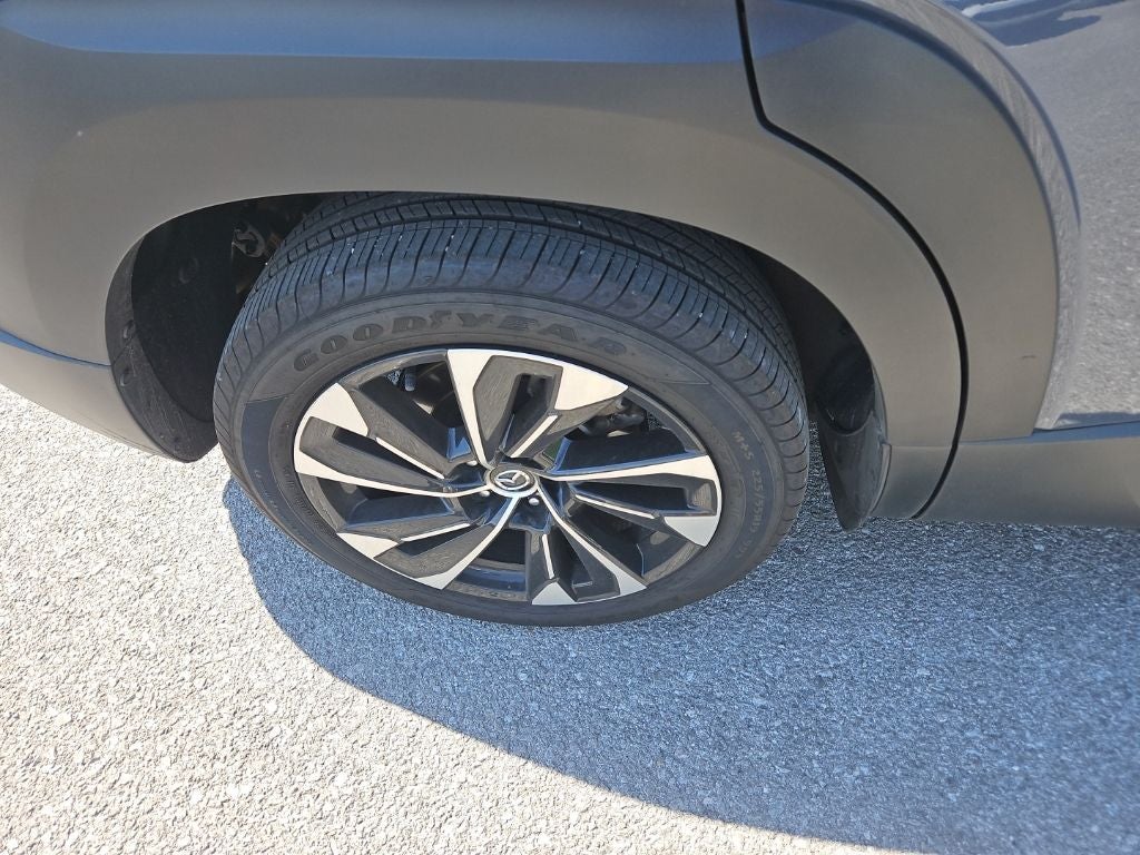 2025 Mazda Mazda CX-50 Hybrid Premium Plus Package