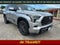 2023 Toyota Sequoia Platinum