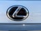 2022 Lexus GX 460 460