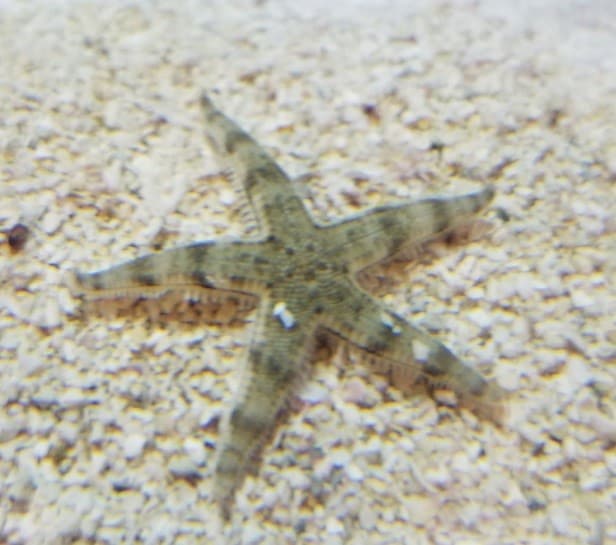 Mt. Juliet Chrysler Dodge Jeep Ram in Mt Juliet TN